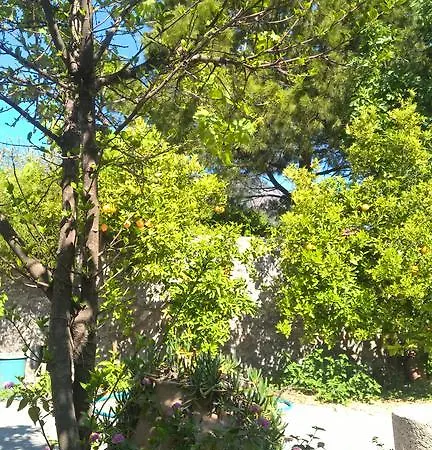 Caretta * Dalyan